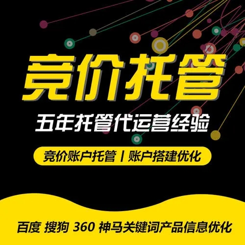 竞价托管网络公司有哪些